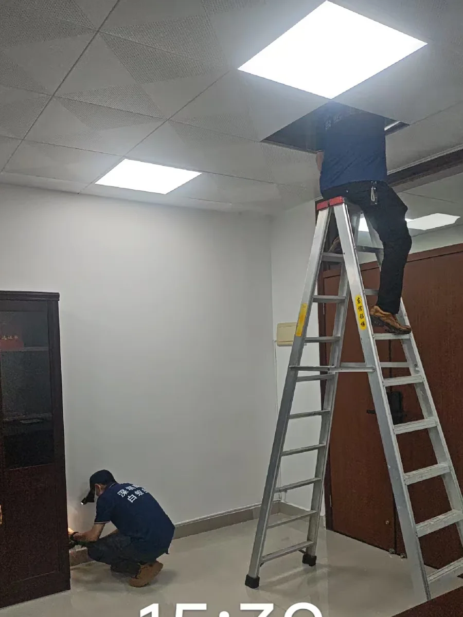 工作人员在陆丰办公场所开展虫害防治