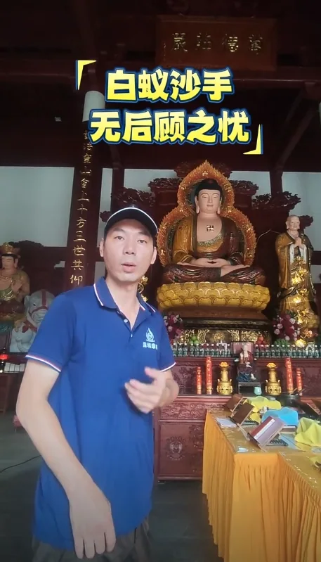 陆丰市寺庙白蚁防治的专门服务存在吗？现场照片 4
