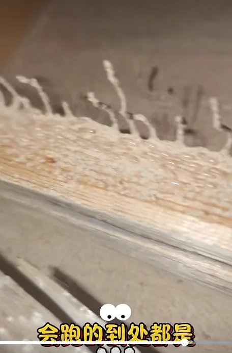 碣石防治案例现场照片 4